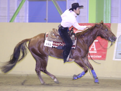 Reining Junior Horse DV 3rd Place Ryutaro Kurita & Hollywood Del Cielo Owner Sachiko Kamiya